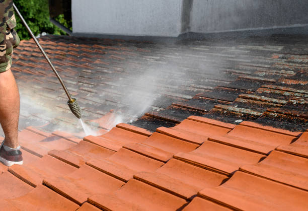 Best Best Pressure Washing Companies  in Sutton Alpine, AK